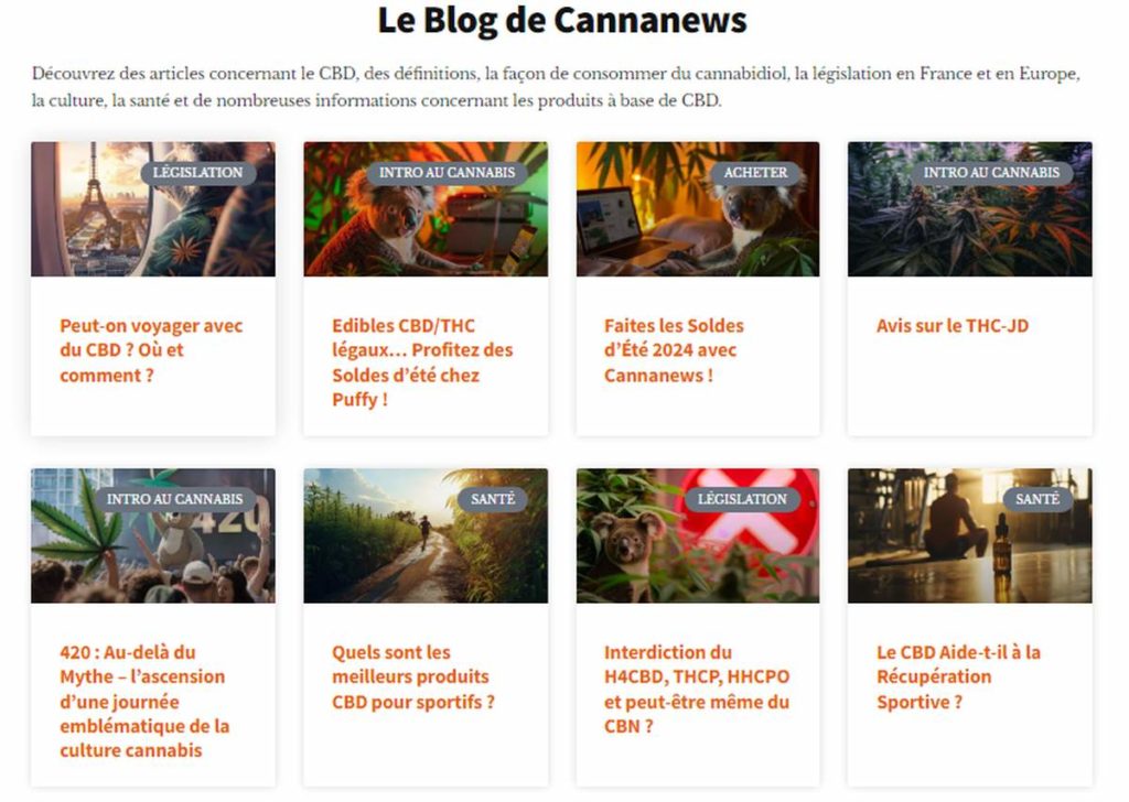 blog de cannanews